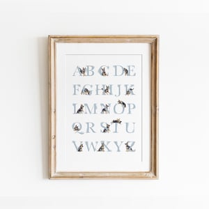 Deutscher Schäferhund Alphabet Print. Druckbares Kinderzimmer Alphabet für einen Jungen. Blaues ABC Poster. Hunde-Kinderzimmer Wandbild.