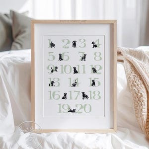 Póster de números de Labrador negro verde salvia / Decoración de guardería de cachorros para un bebé niño o niña / Póster imprimible de números de Labrador negro 123