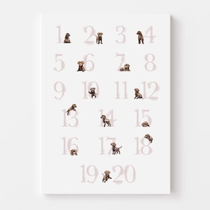 CHOCOLATE LAB Puppy Nursery Decor: pastelroze aquarelnummertabel voor een meisje, labradorcadeaus voor een babyshower. Digitale download
