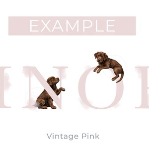 May include: A digital graphic featuring two brown Labrador puppies integrated with large, pale pink letters. One puppy sits upright while the other lies down. The word EXAMPLE appears in a pink bar at the top, and Vintage Pink is written below.