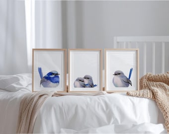 FAIRY WREN Print, Set of 3, Australian Bird, Printable Wall Art, DIGITAL Download, Mother and Baby, Nursery Wall Art, Superb Fairy Wren