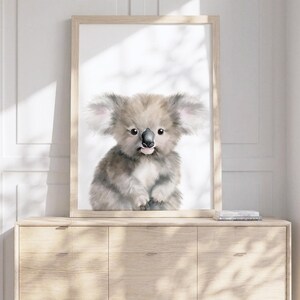 May include: A framed wall art print featuring a fluffy, light brown and grey koala illustration with large, fuzzy ears, dark eyes, and a black nose, set against a plain white background, displayed in a light-colored wooden frame.