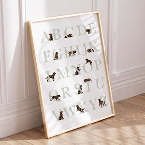 CHOCOLATE LAB Sage Green Alphabet Poster, Brown Labrador Puppy Nursery Decor,  Dog Nursery ABC Poster, Printable Wall Art, Digital Download