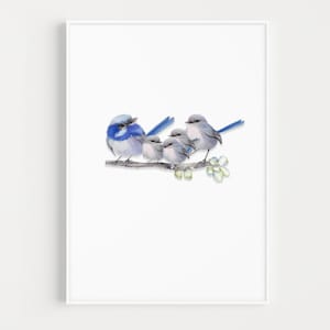 Wren Print, Blue FAIRY WREN FAMILY Print Arte digital del vivero de aves australianas, Arte de pared imprimible, Regalo amante de las aves, Cartel grande de Fairy Wren