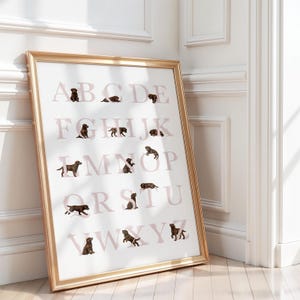 May include: A framed alphabet poster featuring light pink capital letters from A to Z on a white background. Each letter is accompanied by a small, realistic illustration of a brown Labrador puppy in various poses, arranged in a grid layout.