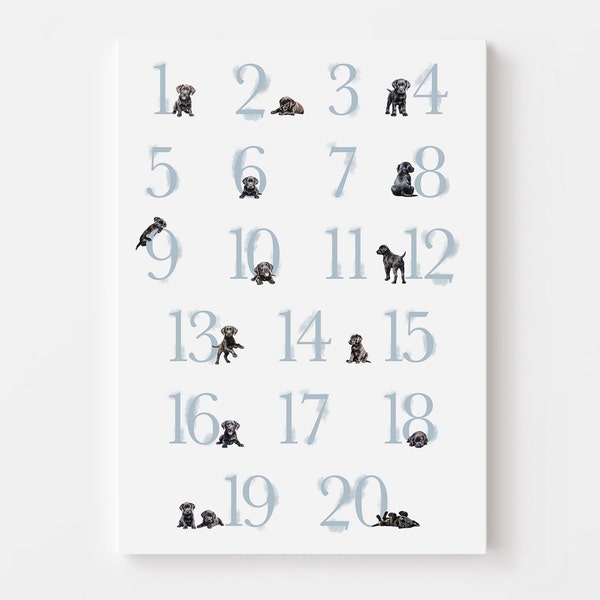 BLACK LABRADOR numbers poster. Boys puppy nursery decor. Dog nursery art for a baby boy. Black Lab 123 poster numbers 1-20. Digital download