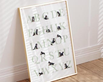 May include: A framed alphabet poster featuring the letters A through Z in a light green font. Each letter is accompanied by a small, photographic illustration of a Bernese Mountain Dog puppy in various poses, set against a white background.