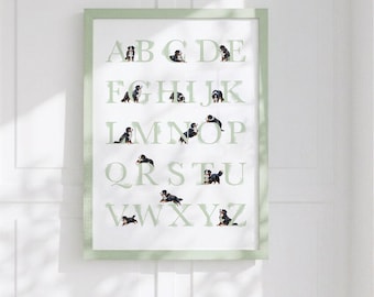 May include: A framed wall art print featuring the English alphabet in large, pale green letters. Each letter is accompanied by a small, photographic image of a Bernese Mountain Dog puppy in various poses, arranged in a grid on a white background.