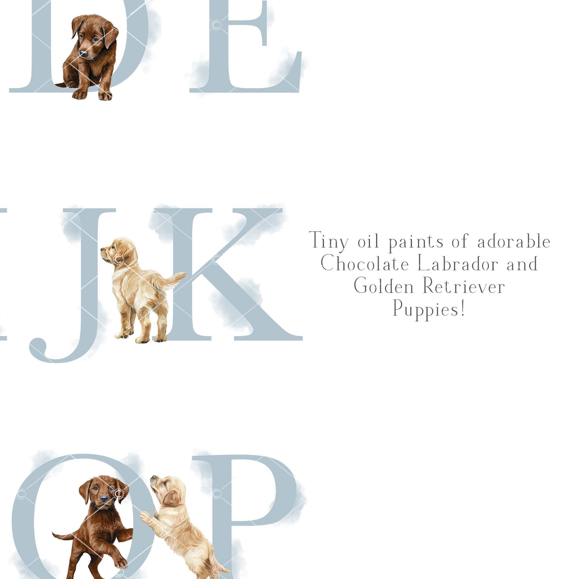 Golden Retriever, Chocolate Labrador Blue Puppy Alphabet Poster. Dog ...
