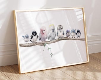 Cockatoo, Kookaburra, Galah, Parrot, Magpie and Fairy Wren print. Australian native bird prints. Printable Bedroom Decor and Nursery Decor