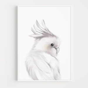 COCKATOO Print, Parrot Print, Australia Nursery, Australian Bird, Australia Nursery Print, Baby Cockatoo for Australia Theme Nursery