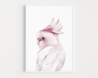 COCKATOO Print, MAJOR MITCHELL Pink Cockatoo Print, Australian Bird, Digital Download, Printable Wall Art Nursery Decor and Bedroom Decor