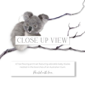 May include: A watercolor painting of a baby koala sleeping on a branch. The koala is gray and has a cute, sleepy expression. The text "CLOSE UP VIEW" is written in white on a black rectangle.