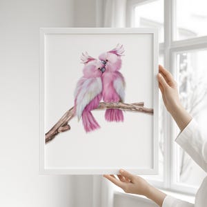 PINK COCKATOO PRINT featuring Major Mitchell Cockatoo | Australian Bird Cockatoo print bedroom decor and nursery decor | Digital Download