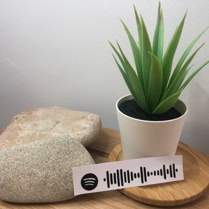 Può includere: Un vaso bianco con una pianta grassa verde su un sottobicchiere di legno. Un adesivo bianco con un logo Spotify nero e un codice a barre nero è sul sottobicchiere.