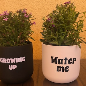 Può includere: Due piante in vaso con fiori rosa. Il vaso nero dice "Growing Up" e il vaso bianco dice "Water Me".