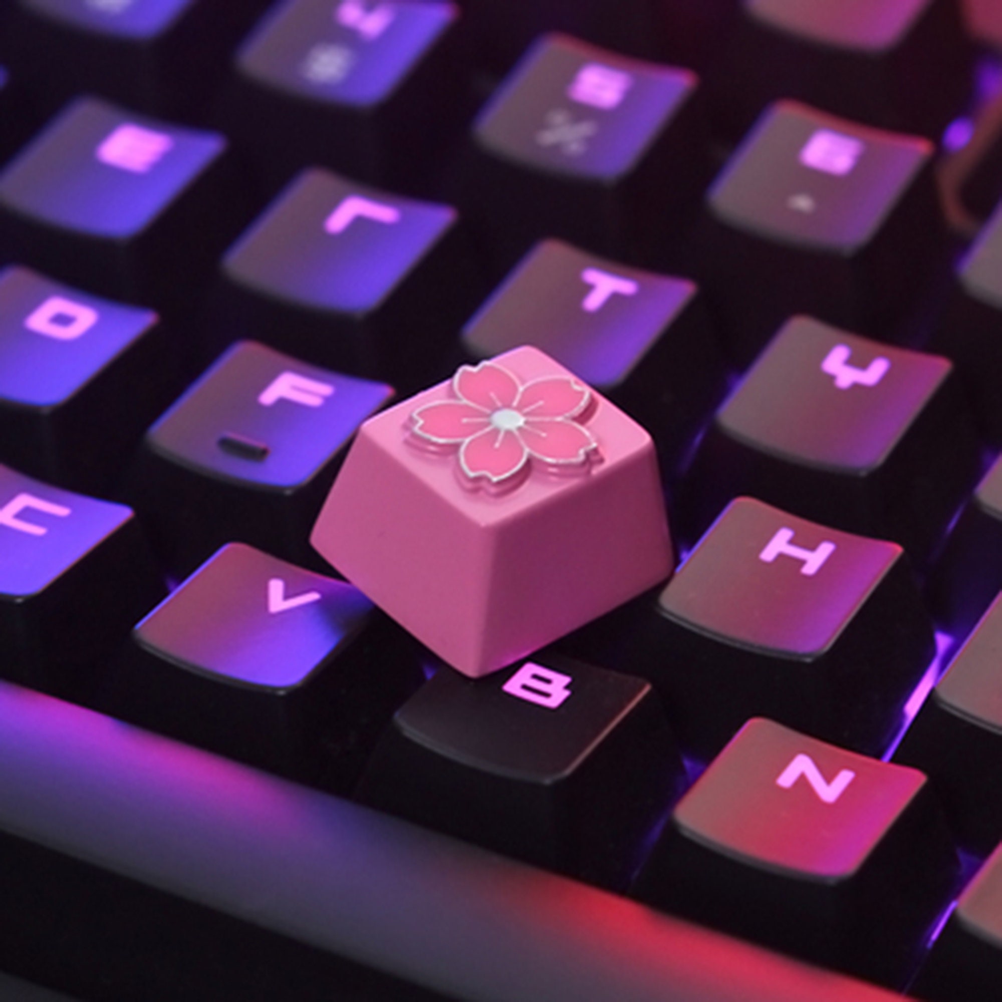 Cherry Blossom Keycaps Pink Keycaps Cute Keycaps DIY Etsy