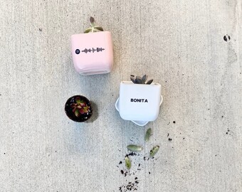 Cannabis Business Growth