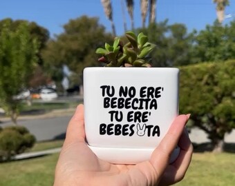 Bad Bunny Ceramic Pot With Tray & Succulent - No Eres Bebecita Eres Bebesota