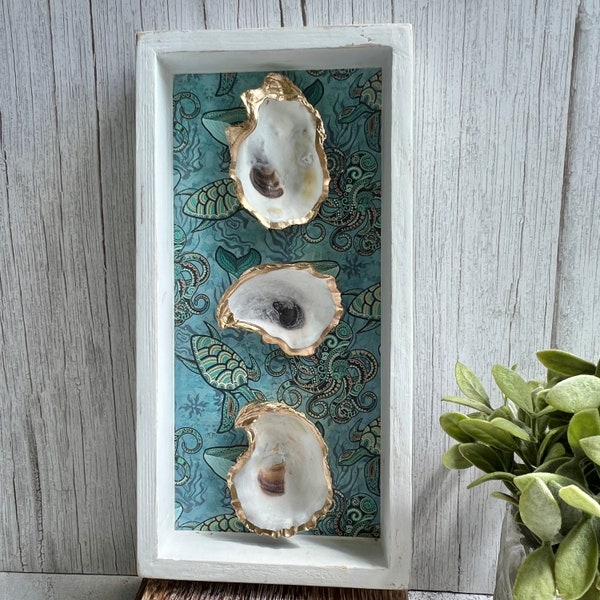 Oyster Shell Framed Etsy