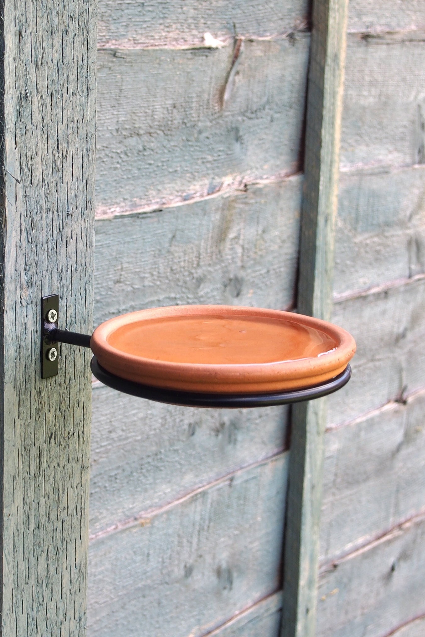 Bird Bath & Feeder Etsy