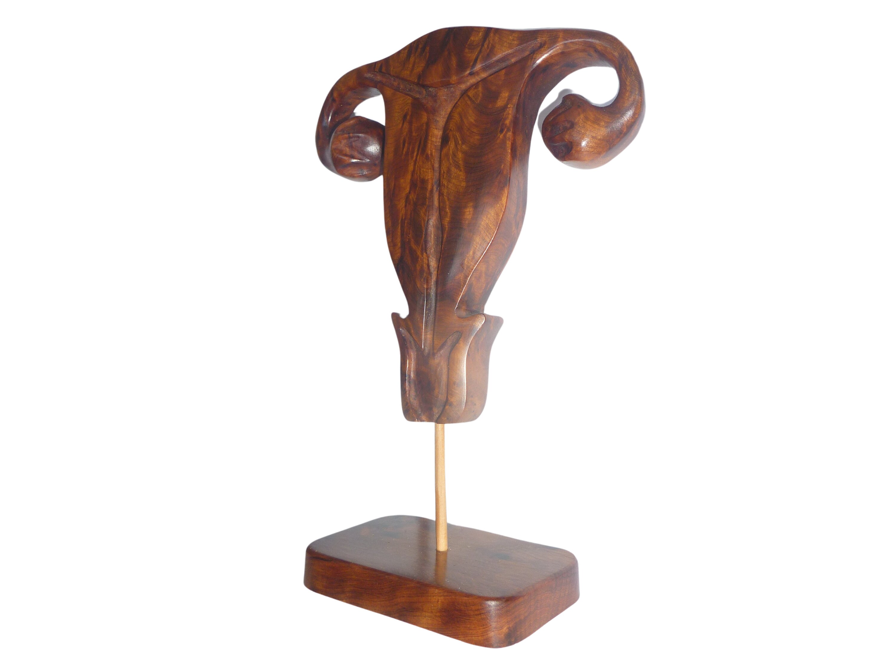 Uterus Statue Anatomical Wood Carving Medical Office Decor Midwife uterus-statue-anatomical-wood-carving-medical-office-decor-midwife
