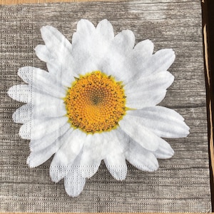 4 x tovagliolo di carta per Decoupage Daisy 33cm x 33cm
