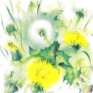 Tovaglioli di carta x 4 Orologio dente di leone giallo
