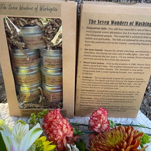 Washington Presentset - PNW - Sojaljus - Hoh Rainforest - Snoqualmie Falls - San Juan - Mount St. Helen - Scablands - Mount Baker - Mount Rainer bild 4