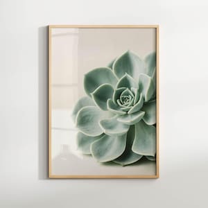 May include: A framed print featuring a close-up of a succulent plant. The succulent has soft green leaves arranged in a rosette pattern. The frame is a light wood color, and the background is a neutral beige.