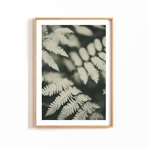 Fern Leaf Photography Wall Art – Moody Botanical Nature Printable Poster | Dark Green Plant Decor for Modern, Cottagecore, or Boho Interiors