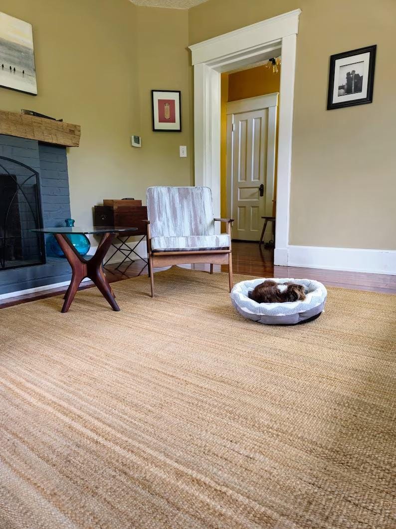 K&ouml;nnte beinhalten: Ein hellbrauner Jute-Teppich mit einem kleinen Hund, der in einem grau-wei&szlig;en Hundebett schl&auml;ft. Der Teppich befindet sich in einem Wohnzimmer mit einem Kamin, einem Holzstuhl und einem Beistelltisch.