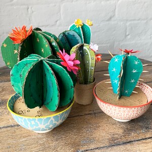Kit de fabrication de cactus en carton (cactus tonneau)