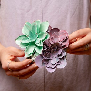 Kit regalo per realizzare piante grasse in carta con vernice