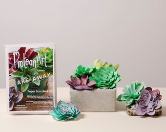 Paper Succulent Making Kit