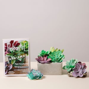 Kit per realizzare piante grasse di carta