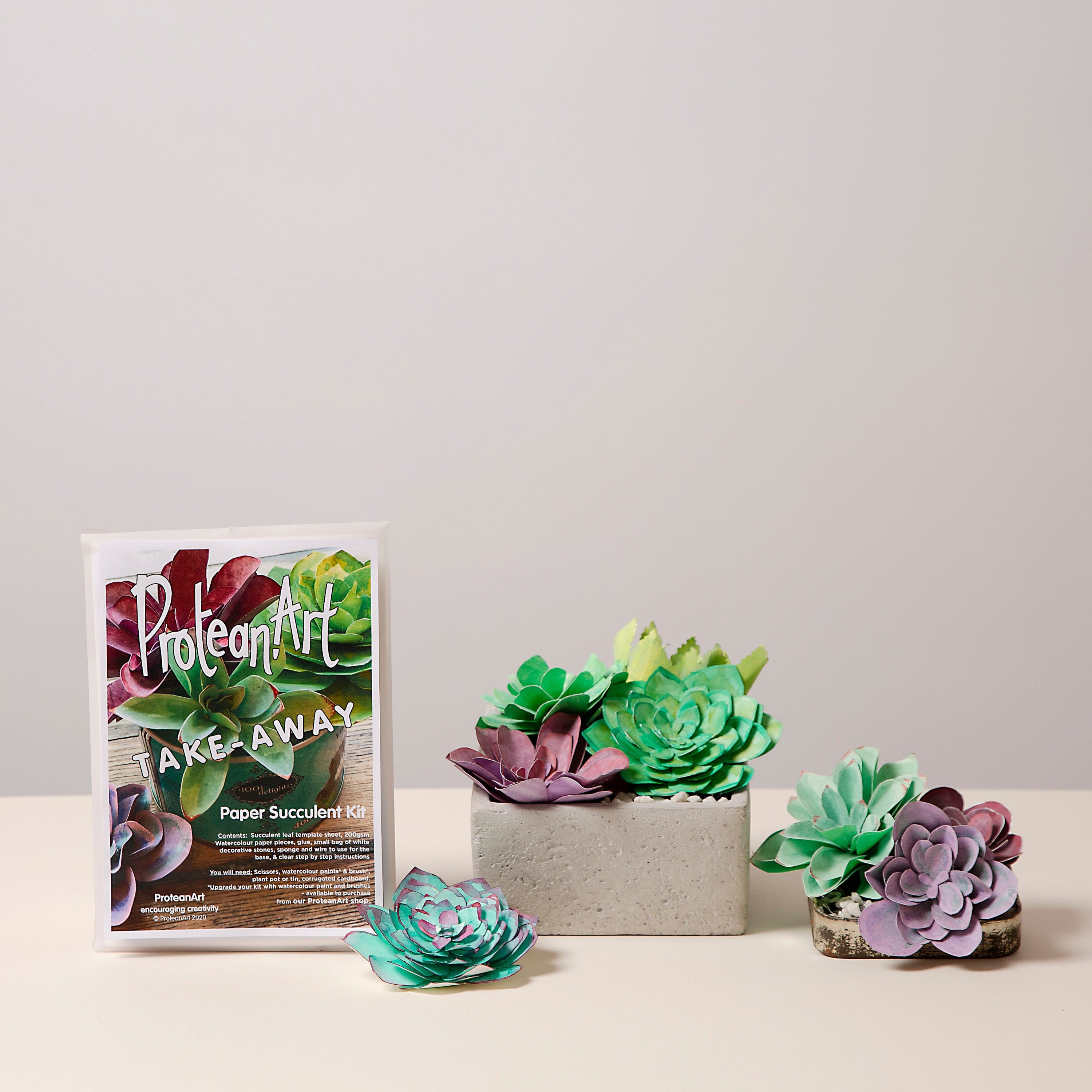 Art Kit Energy | Succulents Art Set 3D for Home Wall Decor | Craft Kits for  Adults and Teen | Craft Box with Modeling Clay for Succulents | Hobby Kits