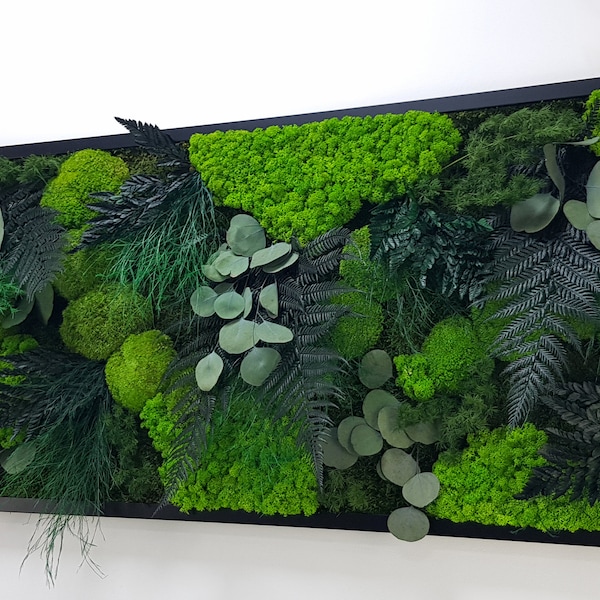 Plantes naturelles préservées, boule de mousse et lichens, art mural de verdure naturelle, île verte