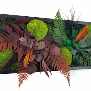 Moss Wall Arts Design, Natural Preserved Plants, Green Day Personalized, Jolie Arts