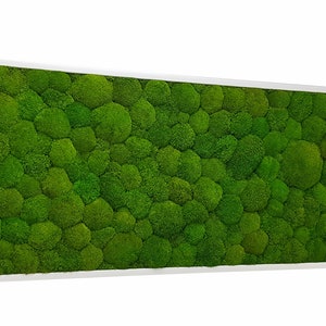 Merveilles naturelles préservées : peintures sur mousse stabilisée, oeuvre d&#39;art murale sur mousse, motif sur mousse