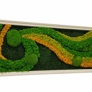 Natural Preserved Ball Moss, Lichens, Moss Painting, Summer Design, Jolie Arts