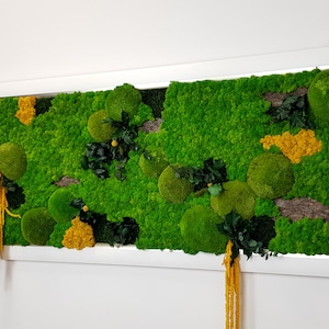 Peinture jaune d&#39;amarante, de mousse et de plantes naturelles préservées, art mural mousse, design mousse, mousse de renne, cadre mousse, art mural vert
