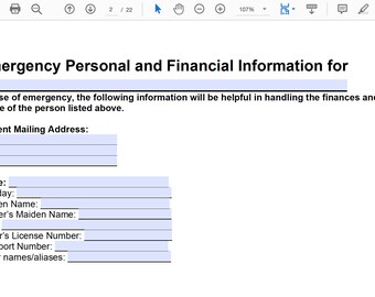 USA Individuelle Version / Debt Free / Notfallmappe Form / Todesfallplanung / Nachlassplanung / Fillable PDF