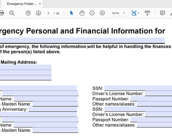 USA Individuelle Version / Notfallmappe Form / Todesfallplanung / Nachlassplanung / Ausfüllbares PDF