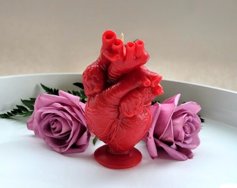 Anatomical Human Heart Candle