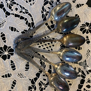 Peut inclure: Un ensemble de six cuillères à café en argent avec des manches ornées. Les cuillères sont disposées en éventail sur une nappe en dentelle blanche.