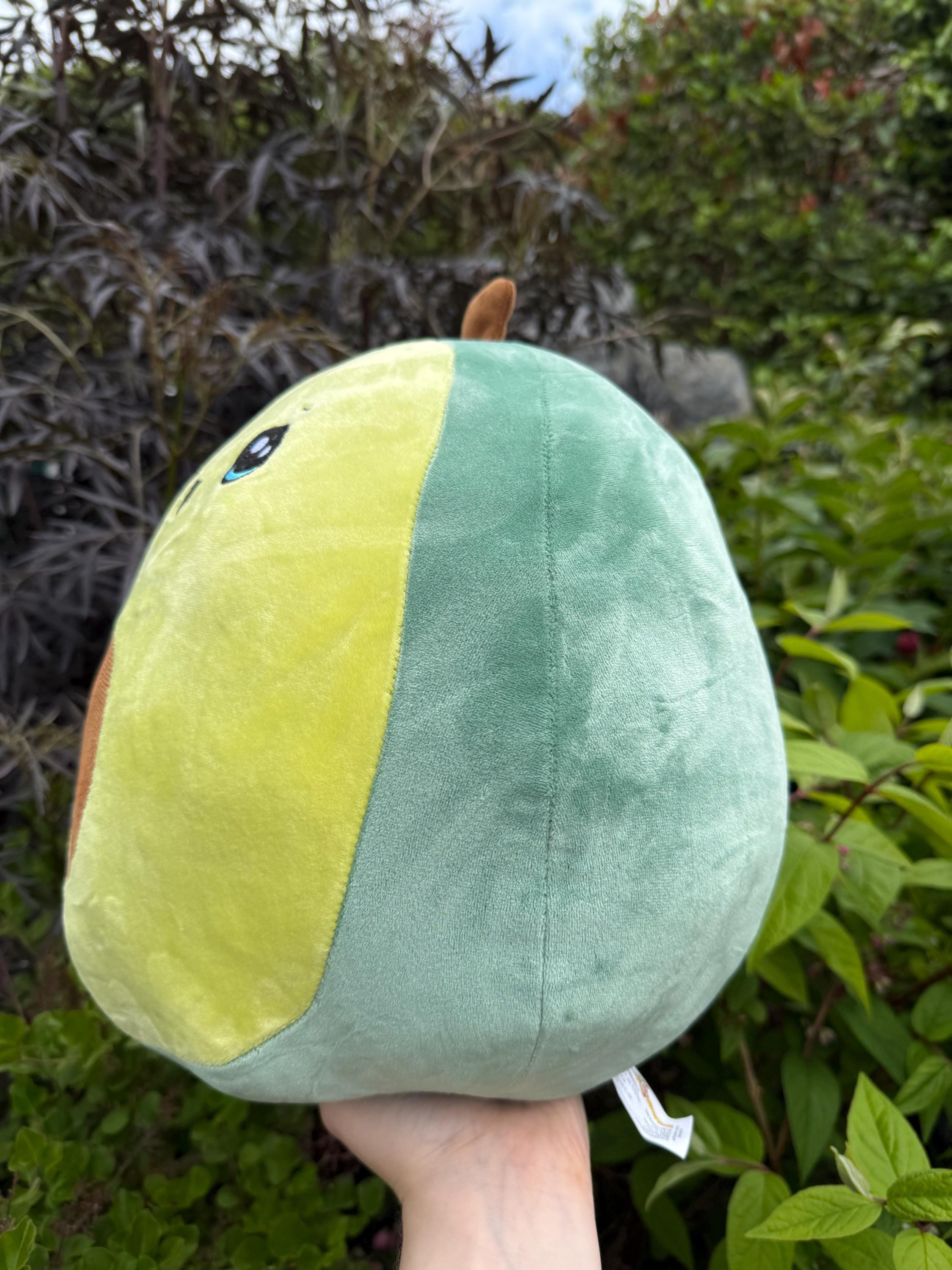 Avocado 16