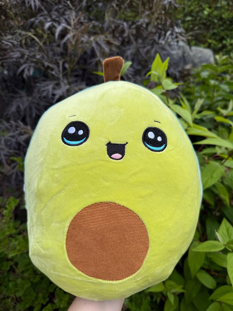 Avocado 16