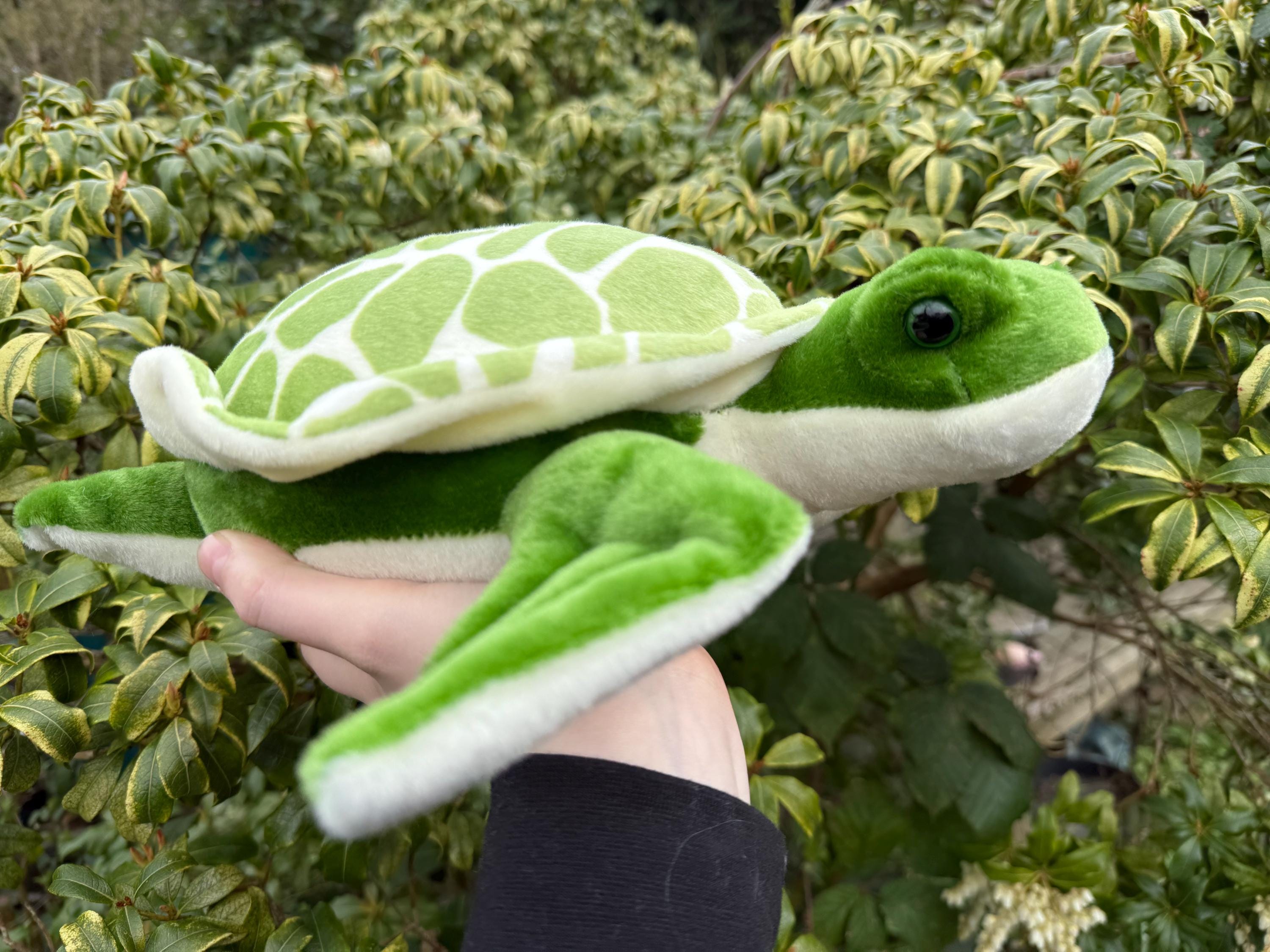 Shelldon the Sea Turtle 16” Weighted Cuddly Plush Toy Autism ADHD ...