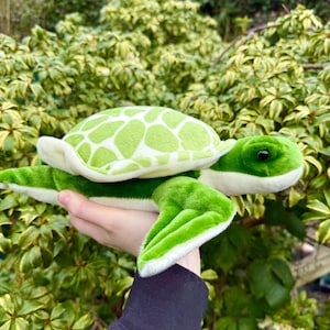 May include: A plush green sea turtle toy with a white shell and green and white patterned markings. The turtle has a white underside and a green head with black eyes.